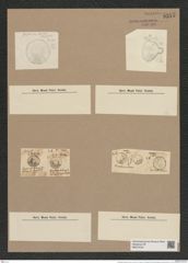 Cyclostella actinocyclus Grun. (de-Toni-Nr.: Genus 216, Species 5444) Zeichnungen Sammlung Grunow Nr. 9345 (NHMW-BOT-W0379164)